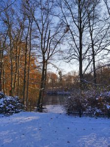 Karpfenteich